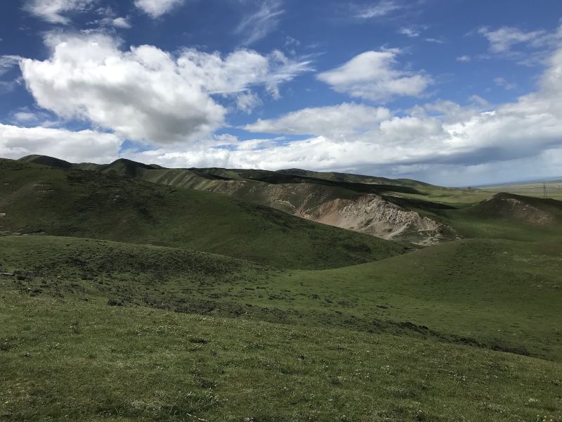 More Cloud Pasture