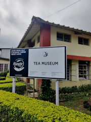 Tea Museum