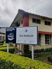 塔塔茶葉博物館