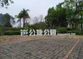 柳江區岜公塘濕地公園