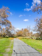 Sycamore Grove Regional Park