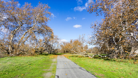 Livermore