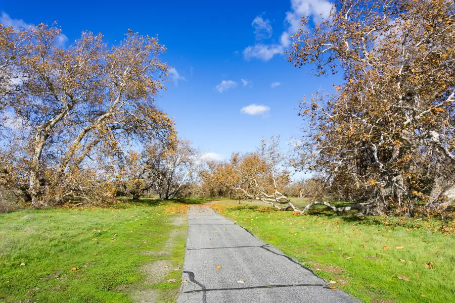 Sycamore Grove Park