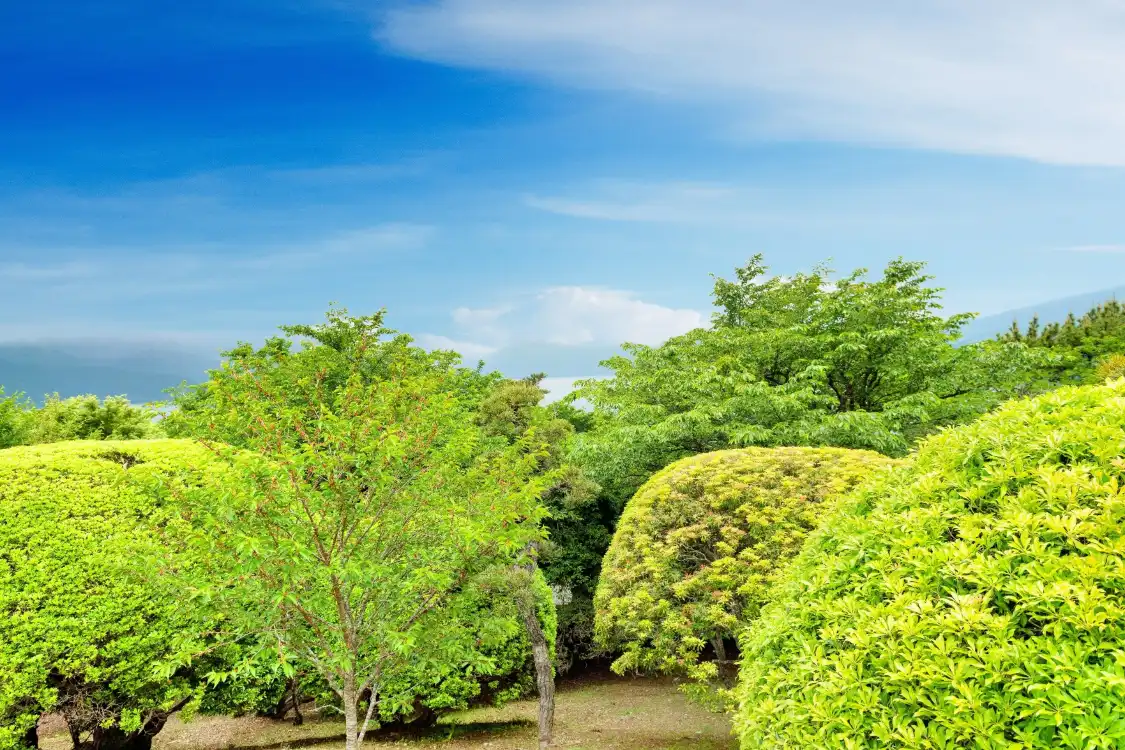 Hotels near Onshi-Hakone Park