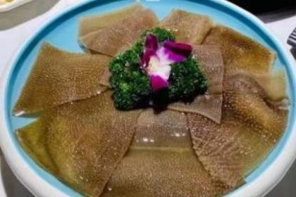 沸騰天下田園生態火鍋