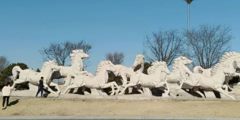 玫瑰湖濕地瑪鋼公園