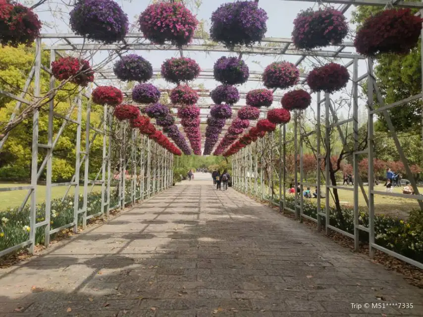2_Binjiang Forest Park - Phase II