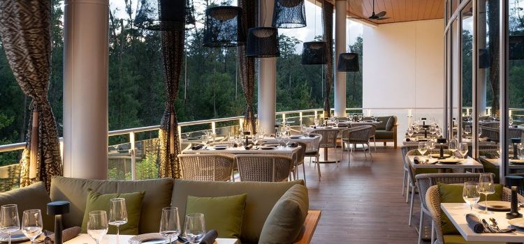 Illume at JW Marriott Orlando Bonnet Creek