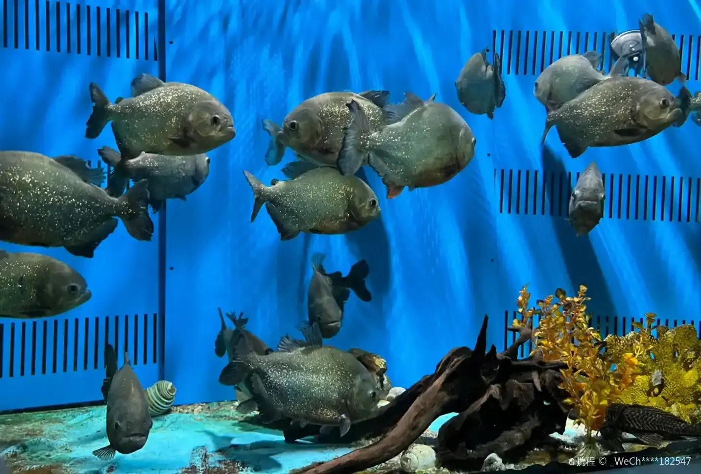 Hotels near Yaomiao Aquarium