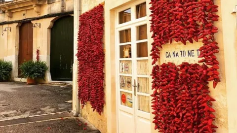 Restaurant Ca na Toneta in Selva