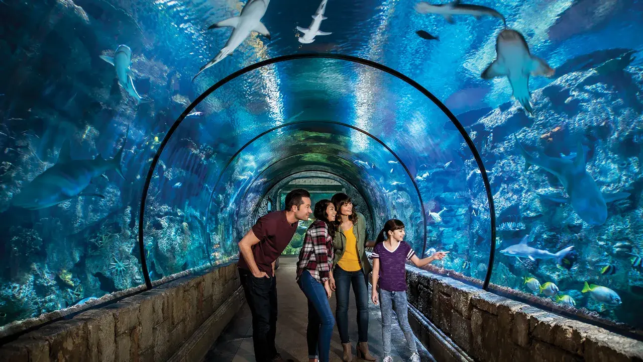 2_Shark Reef Aquarium at Mandalay Bay