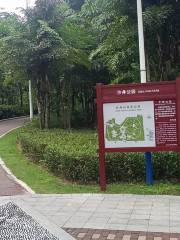 Shajing Park