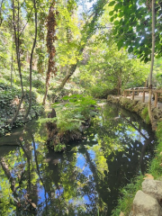 Fern Dell Nature Trail