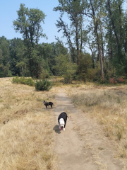 Keizer Rapids Park