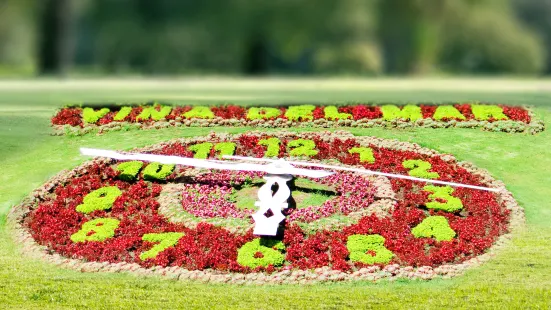 Flower clock