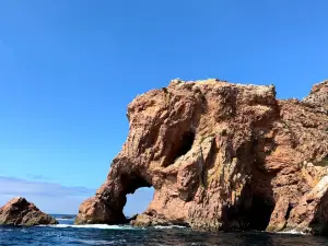 Berlengas Nature Reserve