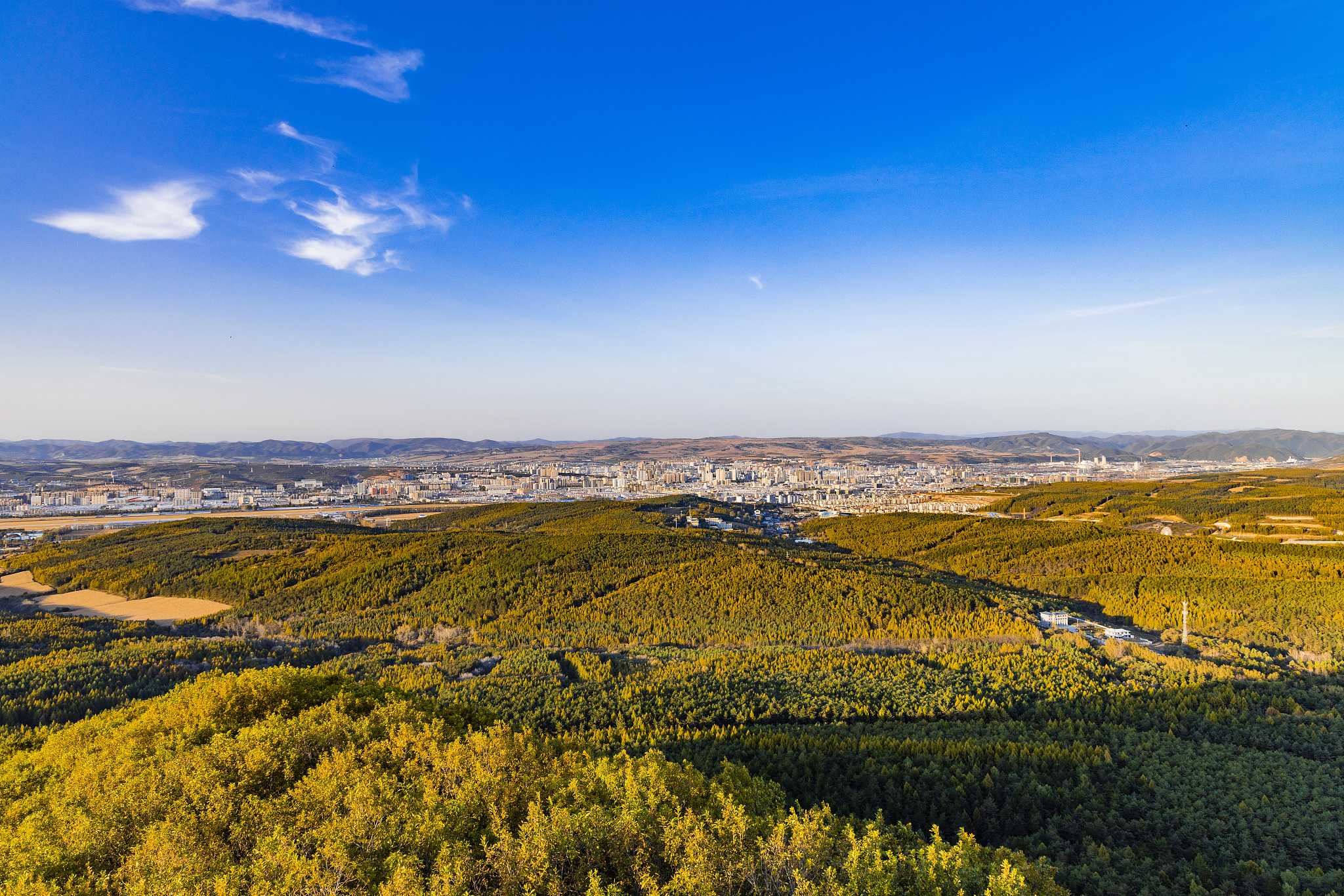 모자산(마오얼산) 국립 삼림공원