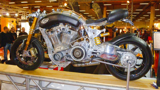Wildcat Harley-Davidson
