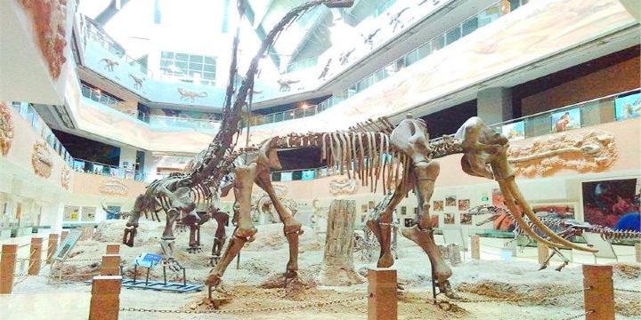 Changji Dinosaur Museum