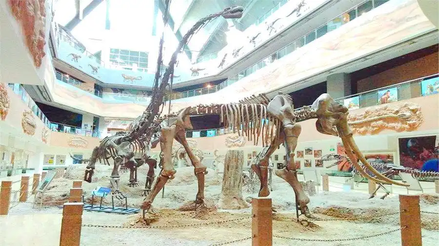 Hotels near Changji Dinosaur Museum