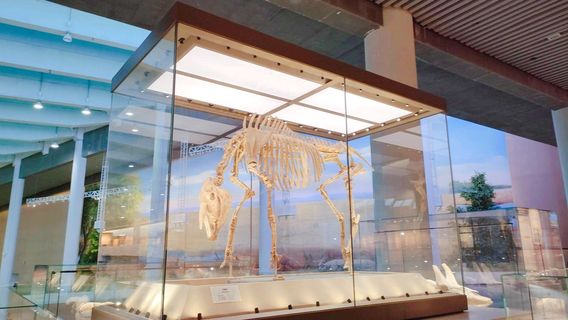 Hezheng Gudongwu Huashi Museum