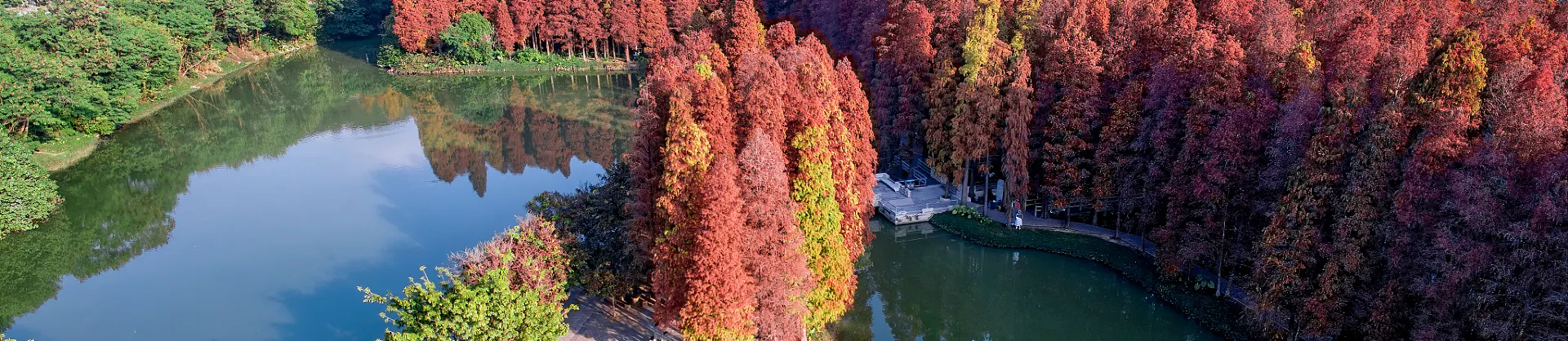 Attrazioni per la visione autunnale