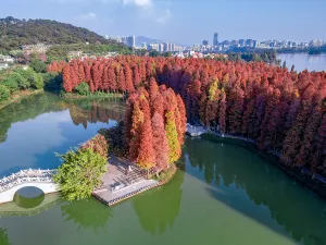 七星巖