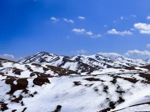 The Oceanlike Alpine Meadow Scenic Spot
