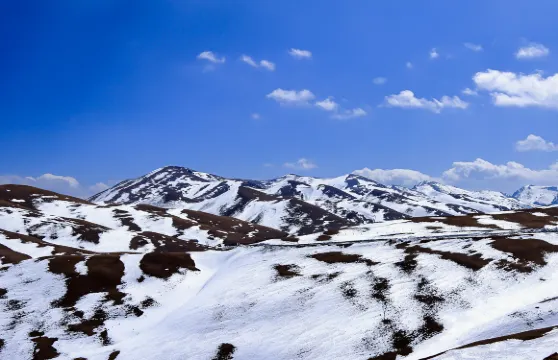 大海草山門票優待(未成年人/長者/學生票)