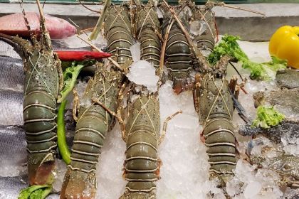 Little Boat Seafood Restaurant