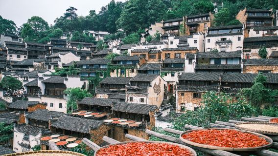 婺源篁嶺一日遊 賞梯田花海 含索道純玩團 小團可選 黃山出發
