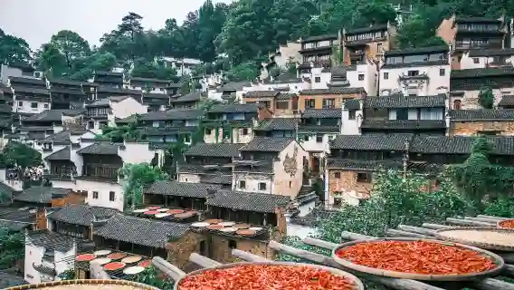婺源篁嶺一日遊賞梯田花海含索道純玩團小團可選黃山出發