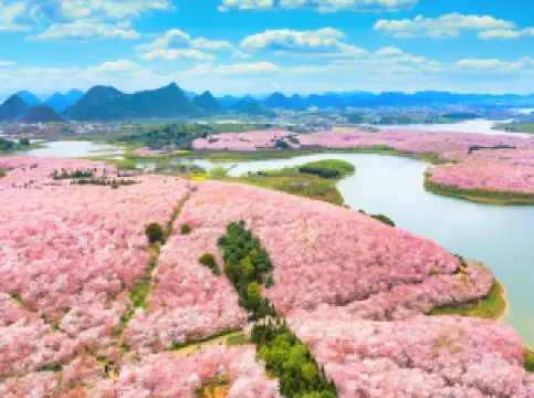 安順の春旅におすすめ・トップ10