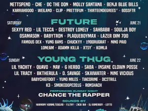 The Summer Smash 2025 Festival