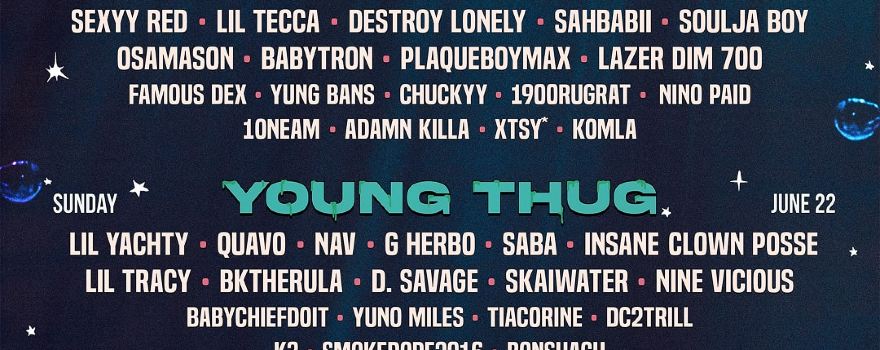 The Summer Smash 2025 Festival