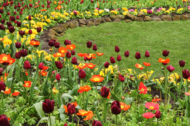 Popular Spring Outings in San Francisco