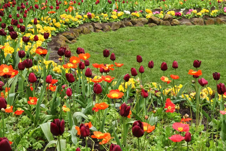 Top 10 Spring Outings in San Francisco