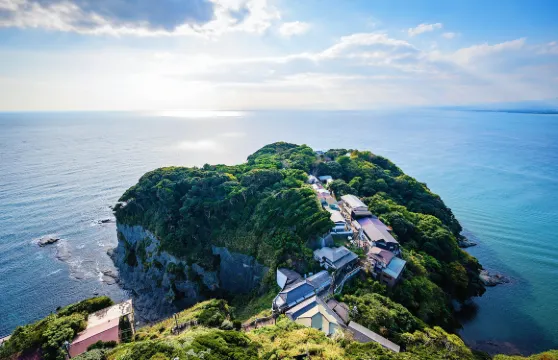 新江之島水族館門票學生（高中生）