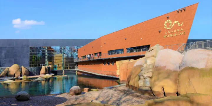 弗羅茨瓦夫動物園和非洲館