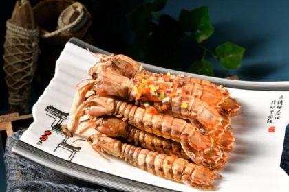 33HAO DA YUANQING DAO CAI