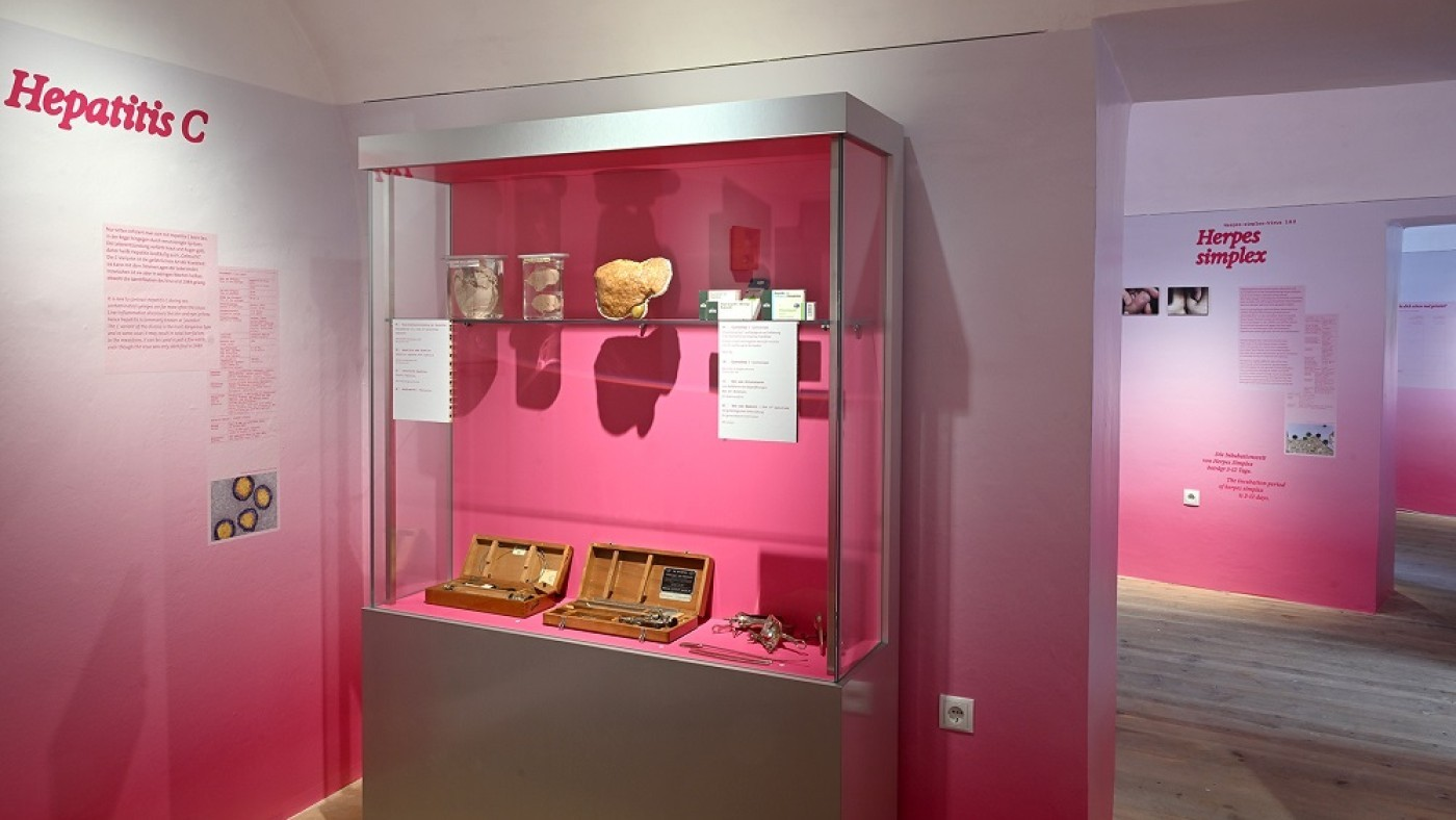 Safe sex: the comeback of sexually transmitted diseases | Museum of Natural History Vienna