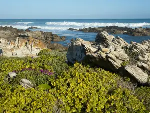 Cabo de las Agujas