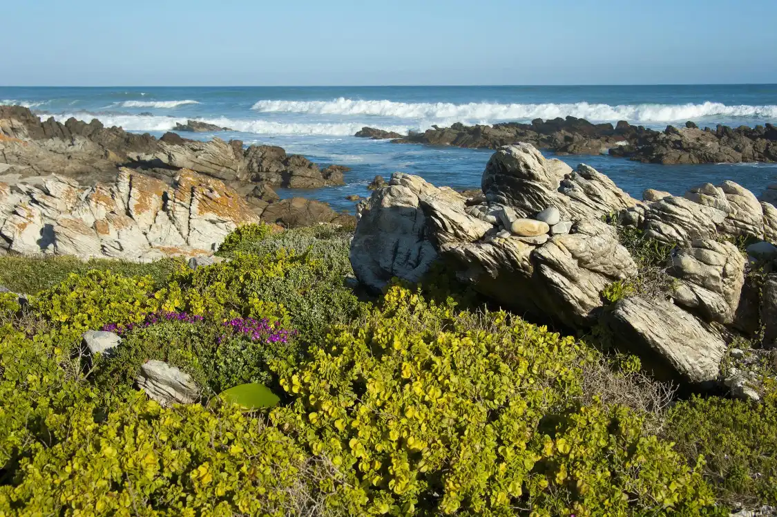 Hotels near L'Agulhas