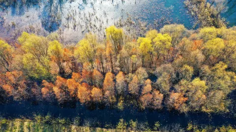 Weishan Lake Tourist Area attraction in Jining