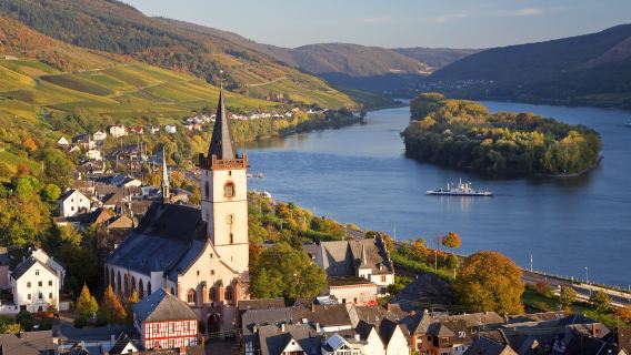 Rhine Gorge