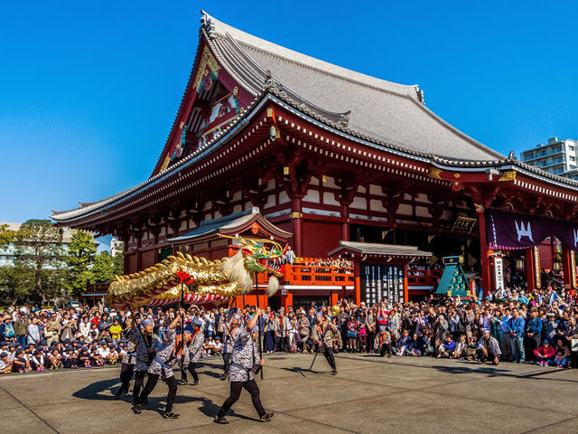Asakusa Temple Golden Dragon Dance Festival | Tokyo