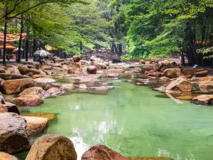 Thuy Chau Ecotourism