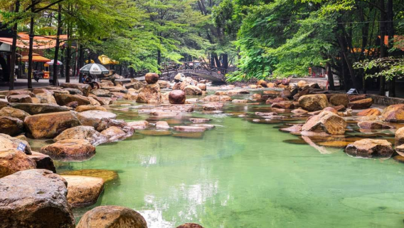 Thuy Chau Ecotourism