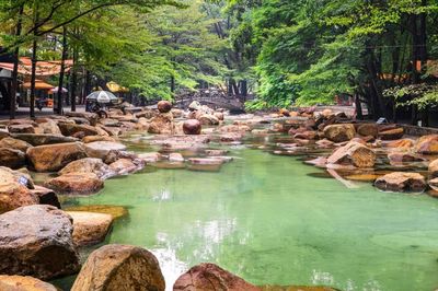 Thuy Chau Ecotourism