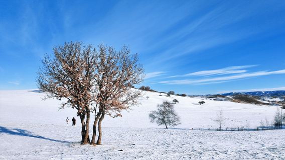 Ulan Butong Scenic Area - Saibei Snow Village